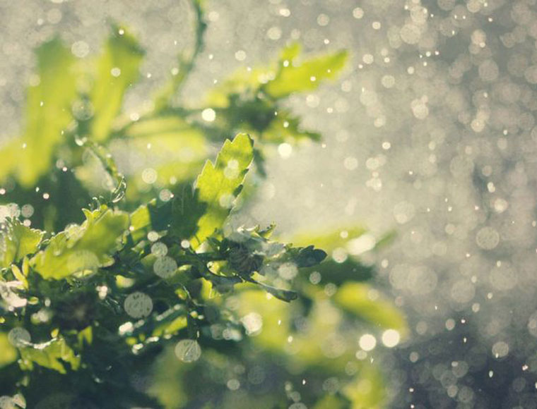 梅雨　おすすめ　お香
