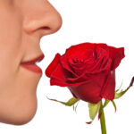 嗅覚が鈍る？香りに慣れてしまったときの対処法