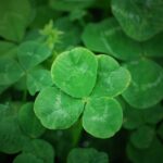 機嫌がいいことは、運気をあげること