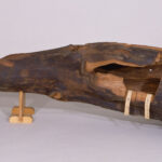 蘭奢待ものがたり　～権力を象徴する宝の香木～