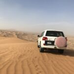 「From the GULF」とベリーダンス