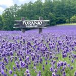 かおり風景１００選・北海道①【富良野のラベンダー】